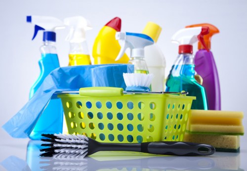 Professional pet stain and odour removal for carpets in Bermondsey