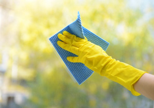 Professional window cleaning for Bermondsey homes and flats
