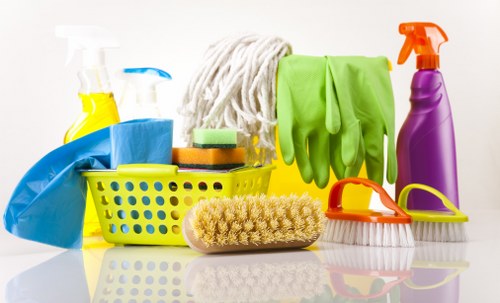 Pet stain odour removal service for Bermondsey homes and rentals