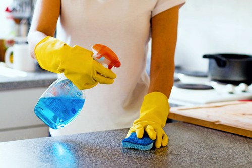Local curtain cleaner working in a Bermondsey apartment or office