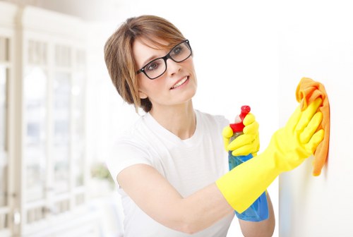 Spot cleaning and stain removal for rugs, carpets, and upholstery