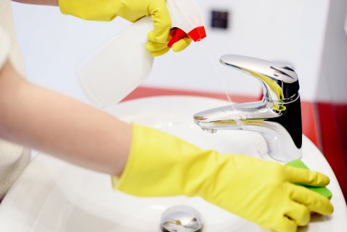 Mattress cleaning for rental properties and guest rooms in Bermondsey