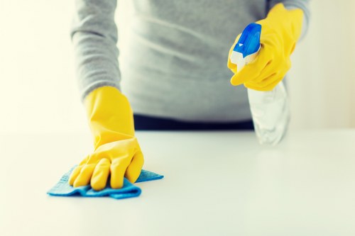 Local cleaners preparing a Bermondsey home for move-out cleaning