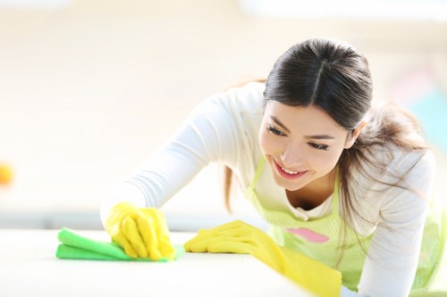 Detailed cleaning of cupboards and surfaces before moving into a Bermondsey home