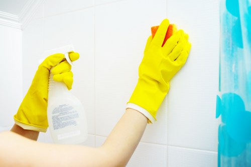 Deep cleaning treatment for pet urine odours in a Bermondsey flat