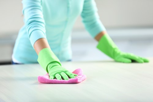 Local cleaner maintaining a Bermondsey office space
