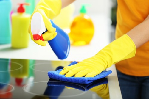 Detailed carpet care process showing stain removal and fiber cleaning in Bermondsey