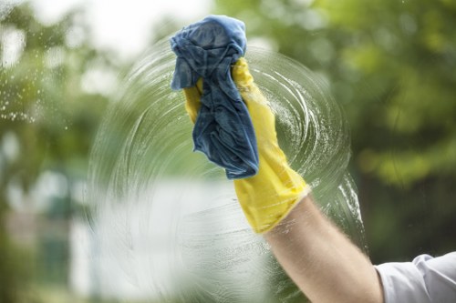 Professional regular cleaning checklist for Bermondsey customers