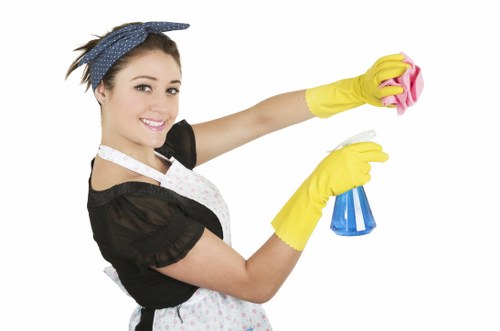 Local Bermondsey upholstery cleaning for pet accidents and smells