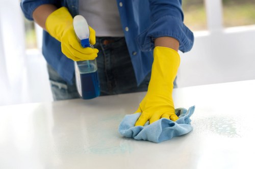 Professional domestic cleaning routine in a Bermondsey property