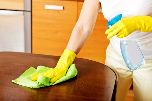 Regular house cleaning for a busy Bermondsey flat with modern interiors